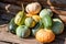 Harvest of different sort of pumpkins or squashes on sunlight.Large group of autumn season vegetables