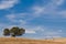 Harvest on farmland. Countryside with hay or wheat straw bales.