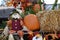Harvest festival, autumn flowers and pumpkins, decoration, showcase. fall season. holidays. Colorful scarecrow decorations for