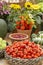 Harvest festival, basket with Mock Tomato, physalis fruits, rosehip berries pumpkin flowering asters