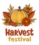 Harvest Festival hand drawn lettering text with autumn leaves and pumpkins