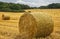 Harvest field with straw bale - close up.