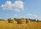 Harvest field with straw vertical rolls in summer. Blue sky.