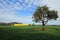 Harvest Fields in Central West NSW