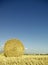 Harvest Fields With Straw in t