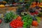 Harvest of fresh hybrid vegetables on the shelves