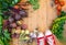 Harvest of fresh vegetables on wooden background. Top view. Potatoes, carrot, squash, peas, tomatoes