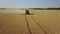 Harvest goes on the field low angle from drone. Collecting wheat. 4K