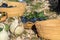 Harvest of grapes. Basket of grapes and wine. Autumnal nature in vineyard