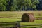 Harvest Grass Hay along the Natchez Trace Parkway in Mississippi