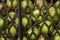 Harvest green apples in a crate