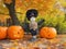 Harvest Harmony: Leaves, Pumpkin Scarecrow, and Autumn Beauty