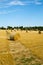 Harvest landscape near Tetbury, Gloucestershire, UK