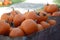Harvest of large orange pumpkins, gourds and. squashes.