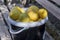 Harvest lemons in a bucket on a wooden bench