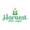 Harvest logo template with wheat shape