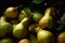 Harvest many ripe pears. AI Generated