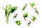 Harvest medicinal herbs. Greens in small bottles on white background top view pattern