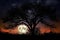 a harvest moon rising behind a silhouetted tree, with the night sky in the background