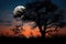 a harvest moon rising behind a silhouetted tree, with the night sky in the background