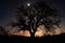 a harvest moon rising behind a silhouetted tree, with the night sky in the background