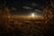 Harvest Moonlit Cornfield Moonlit scene over a