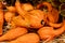 Harvest of nutmeg pumpkins at the autumn exhibition