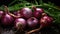 Harvest onions in the garden