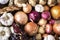 Harvest onions and garlic on wooden table