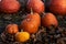 Harvest of orange squashes