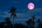 harvest pink moon on night sky back over silhouette coconut tree and cloud background