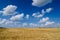 Harvest ready farm field with blue sky