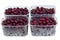 Harvest red sweet cherries in transparent plastic containers