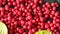 Harvest of schizandra berries on black background. Red schisandra on dark plate.