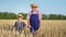 Harvest season, boy holds hand of an elderly male farmer holding ears of wheat and walks through wheat field