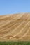 Harvest in the South West of France