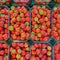 Harvest strawberries in plastic box