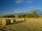 Harvest in Sweden