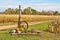 Harvest time cornfield