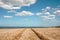 Harvest Time on the Norfolk Coast