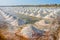 The harvest times of salt and workers in salt evaporation pond