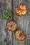 Harvest of an   tomato garden for production of kilometer zero in the area of the city of Barcelona in Catalonia