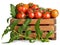 Harvest tomatoes in wooden box with green leaves. Vegetable