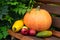 Harvest vegetables on the bench