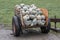 Harvest wagon filled with pumpkins at a pumpkin patch in fall.