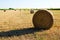 Harvested bales of straw in field on farmland