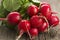 Harvested bunch of fresh raw red radishes with leaf near cutting board on sliced radish