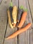 Harvested carrot varieties