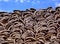 Harvested cork oak bark from the trunk of cork oak tree