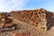 Harvested cork oak bark from the trunk of cork oak tree Quercus suber for industrial production of wine cork stopper in the